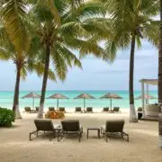 Luxurious beach resort in Punta Cana with sandy beach, palm trees, and stylish beach club